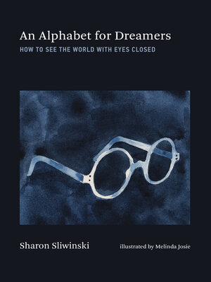 cover image of An Alphabet for Dreamers
